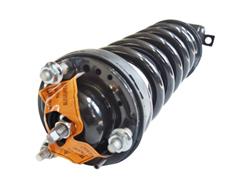 GSP Loaded Strut Assemblies for 2019 RANGER - 882824