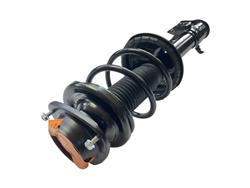 GSP Loaded Strut Assemblies for 2002-2003 IMPREZA - 882880