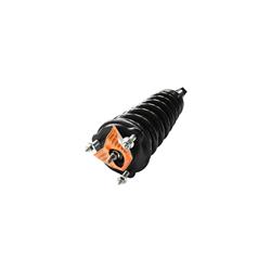 GSP Loaded Strut Assemblies for 2000-2002 S-TYPE - 883077