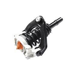 GSP Loaded Strut Assemblies 883092