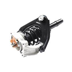 GSP Loaded Strut Assemblies 883093