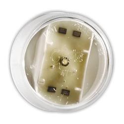 Grote Industries 2 in. LED Interior Courtesy Lamps
