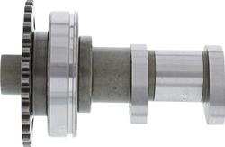 Hot Cams Powersports Camshafts 2312-E