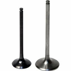 Hot Cams Powersports Valves 8400001-1