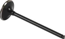 Hot Cams Powersports Valves 8400001-5