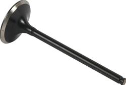 Hot Cams Powersports Valves 8400002-1