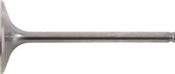 Hot Cams Powersports Valves 8400002-2