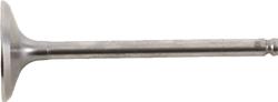 Hot Cams Powersports Valves 8400008-2