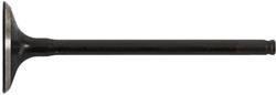 Hot Cams Powersports Valves 8400020-2