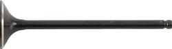 Hot Cams Powersports Valves 8400024-1