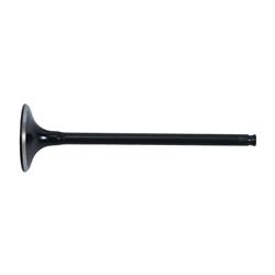 Hot Cams Powersports Valves 8400032-1