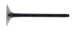 Hot Cams Powersports Valves HC00030