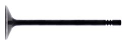 Hot Cams Powersports Valves HC00032