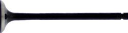 Hot Cams Powersports Valves HC00033