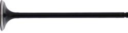 Hot Cams Powersports Valves HC00036