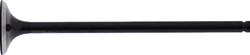 Hot Cams Powersports Valves HC00039