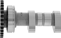Hot Cams Powersports Camshafts HC00059