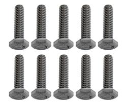 Hillco Fastener Stainless Steel Hex Cap Screws HPS250C100