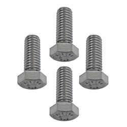 Hillco Fastener Stainless Steel Hex Cap Screws HPS380C100