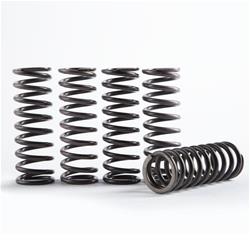 Hinson Racing Hi-Temp Clutch Spring Kits CS189-6-0613