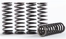 Hinson Racing Hi-Temp Clutch Spring Kits CS294-5-0109
