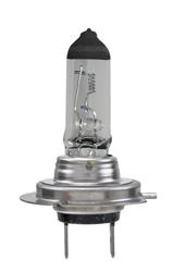 Hella Halogen Light Bulbs H7 24V