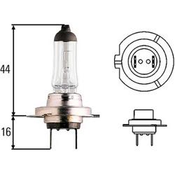 Hella Incandescent Light Bulbs