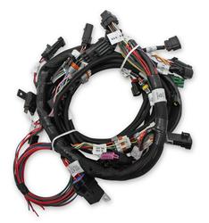 Holley EFI Systems Main Wiring Harnesses 558-110