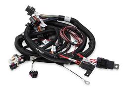 Holley EFI Systems Wiring Harnesses 558-111