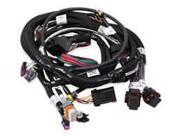 Holley EFI Systems Wiring Harnesses 558-112