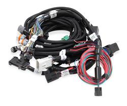 Holley EFI Systems Wiring Harnesses 558-113