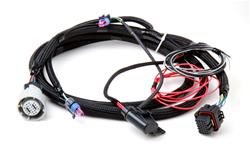Holley GM Transmission Wiring Harnesses ZZZ 558-405