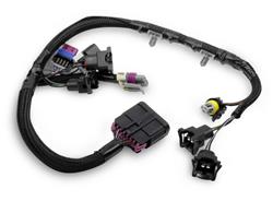 Holley Terminator EFI Wiring Harnesses