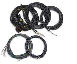 Holley EFI Digital Dash Replacement Wiring Harnesses 558-436