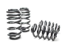 H&R Sport Springs for 2004-2008 S4 - 50310