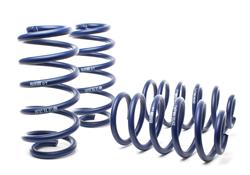 H&R Sport Springs for 2002-2003 S6 - 50316