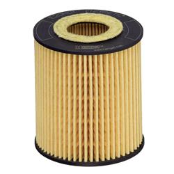 Hengst Oil Filters E20H01 D293