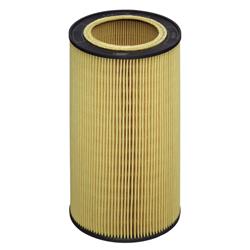 Hengst Filters Oil Filters E43H D213