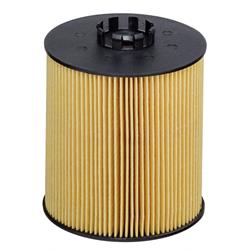 Hengst Filters Oil Filters E714H D561