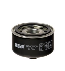 Hengst Filters Oil Filters H300W09