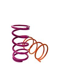 Nic Woods Racing Shockwave Clutch Springs NW-SS790