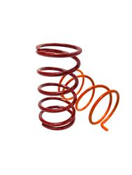 Nic Woods Racing Shockwave Clutch Springs NW-SS890