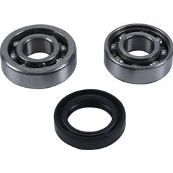 Hot Rods Inc Powersports Counter Balancer Bearings BBK0029