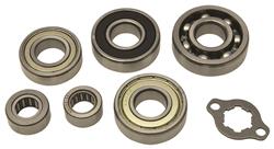 Hot Rods Inc Powersports Manual Transmission Bearings HR00082