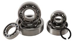 Hot Rods Inc Powersports Manual Transmission Bearings TBK0112