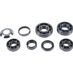 Powersports Manual Transmission Bearings - Free Shipping on Orders