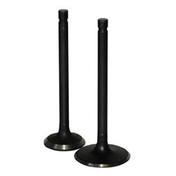 Howards Cams Extreme Black Severe Application Valves