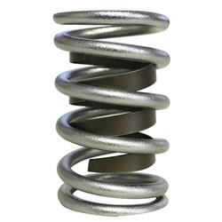 Howards Cams Electro Polished Performance Valve Springs 98415-1