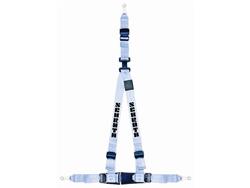 Schroth Racing Rallye 3 ASM  3-Point Harness SR 14609