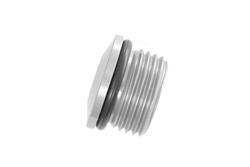 Redhorse 10AN O-Ring Port Plug Low Profile